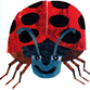 Ladybug